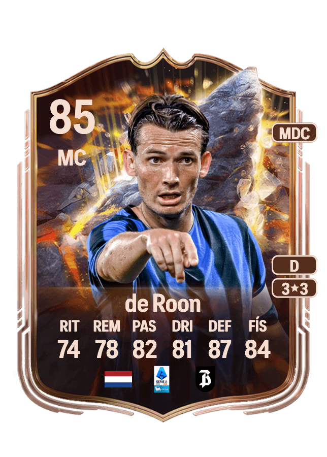 Marten de Roon card