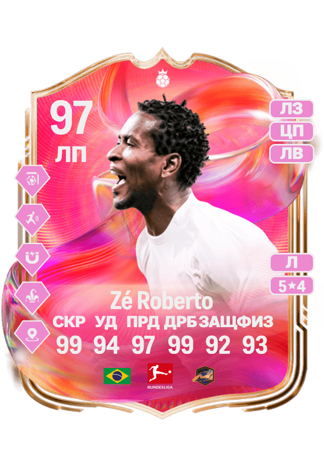 Zé Roberto card