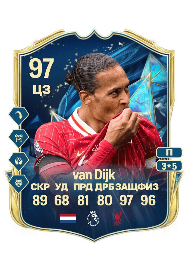 Virgil van Dijk card