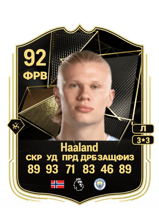 Erling Haaland card