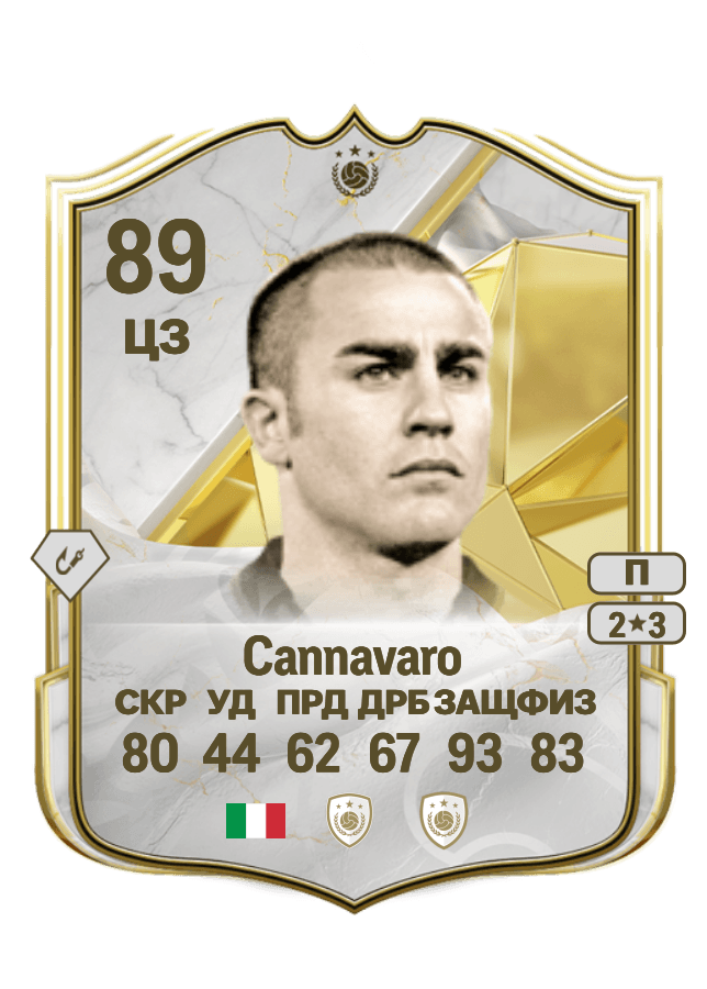 Fabio Cannavaro card