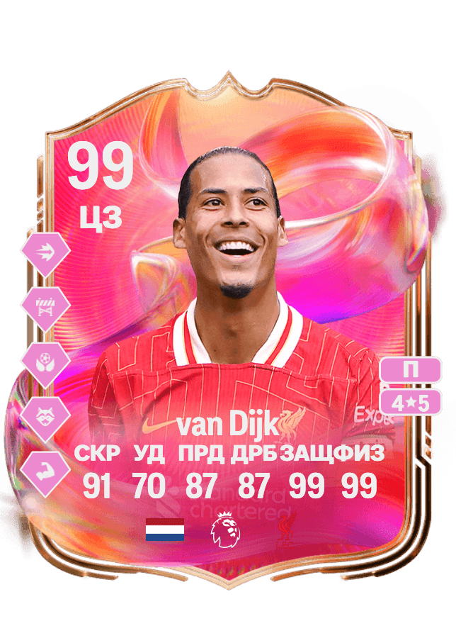 Virgil van Dijk card