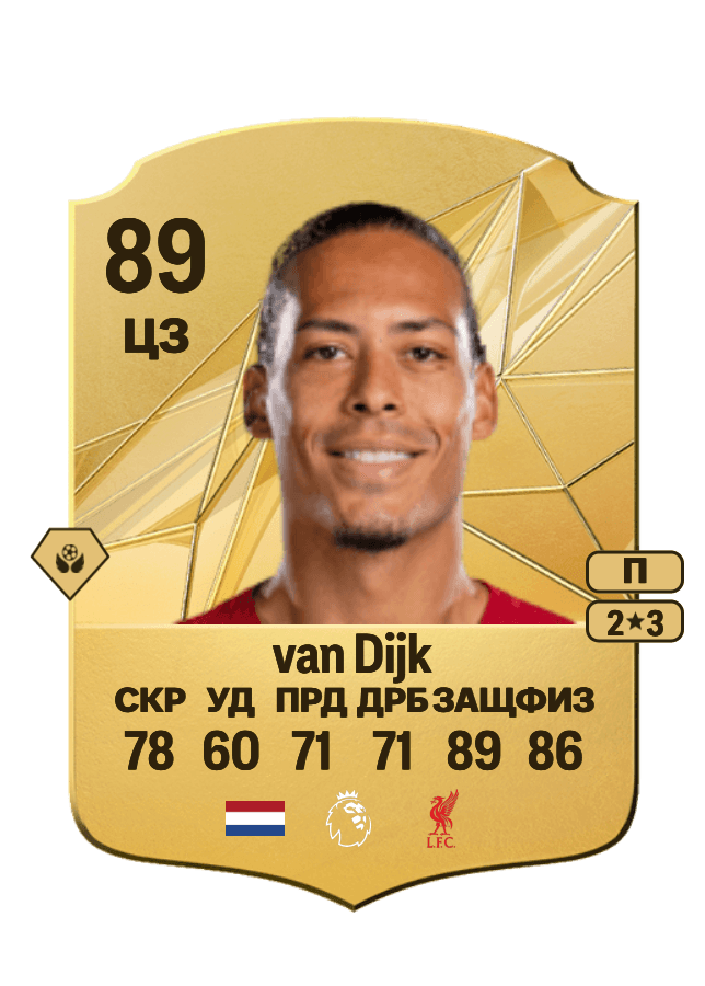 Virgil van Dijk card