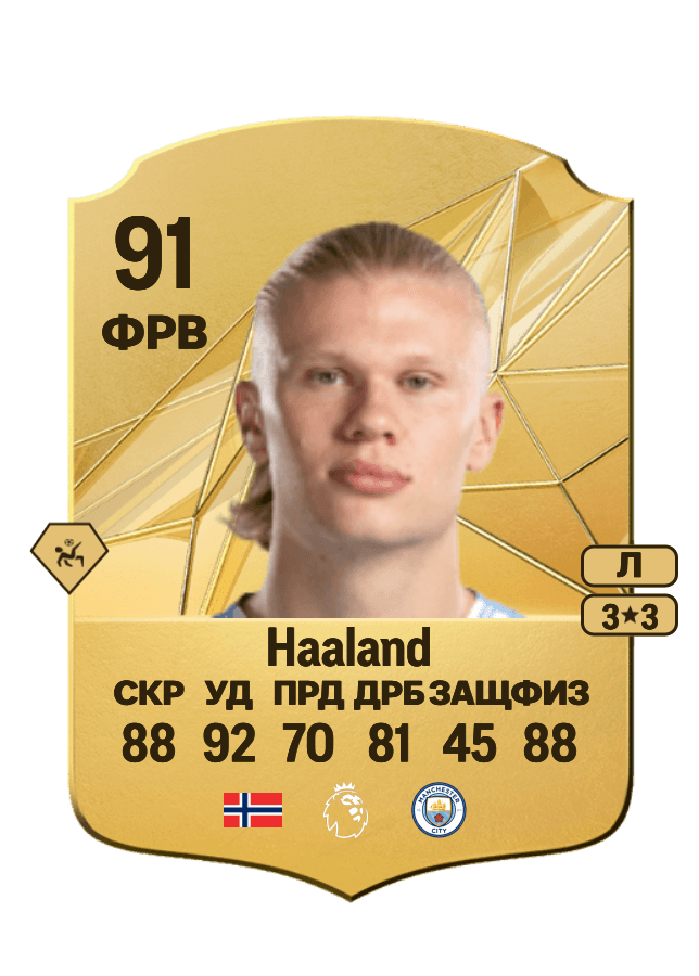 Erling Haaland card