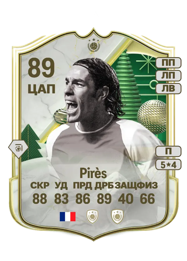 Robert Pirès card