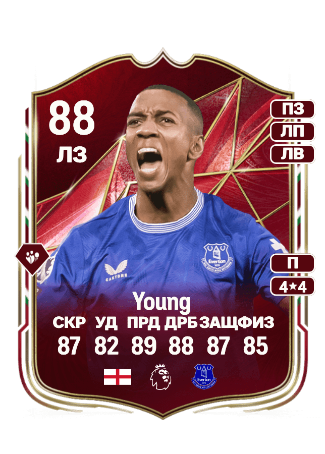 Ashley Young card