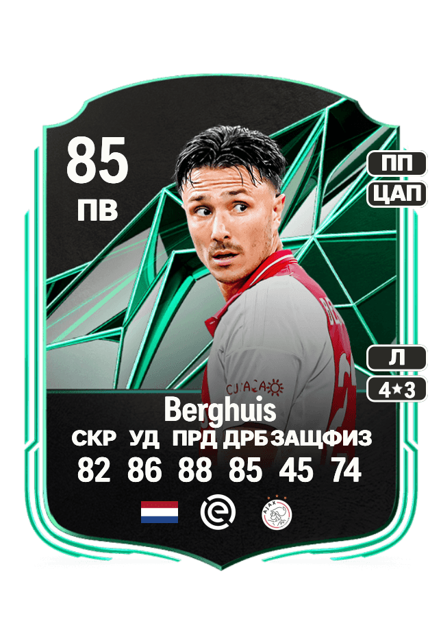 Steven Berghuis card
