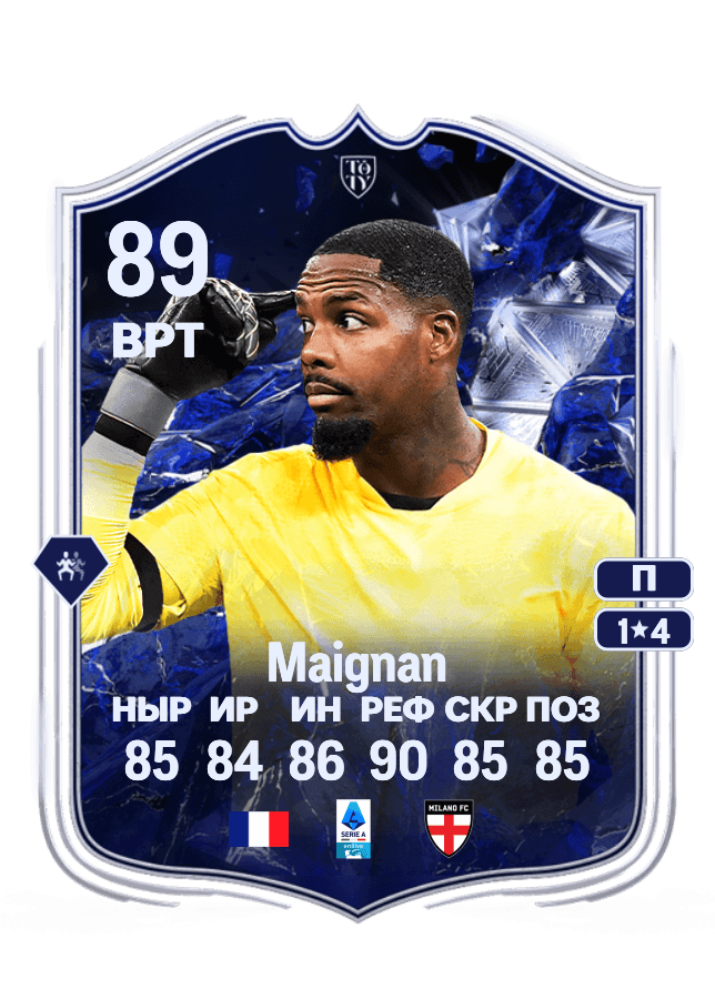 Mike Maignan card