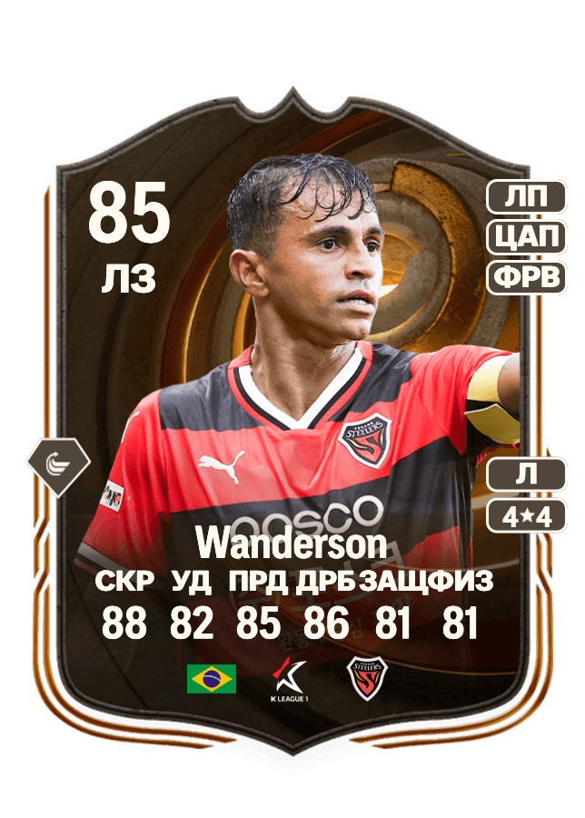 Wanderson card