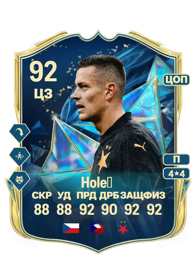 Tomáš Holeš card
