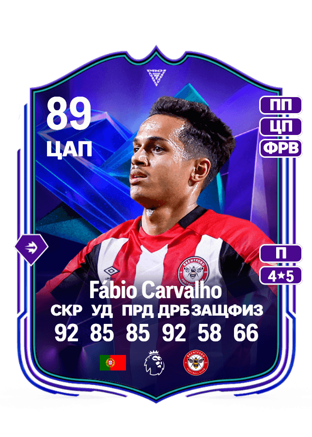 Fábio Carvalho card