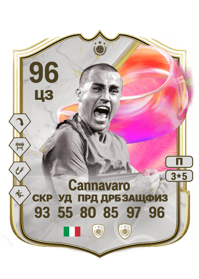 Fabio Cannavaro card