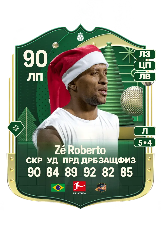 Zé Roberto card