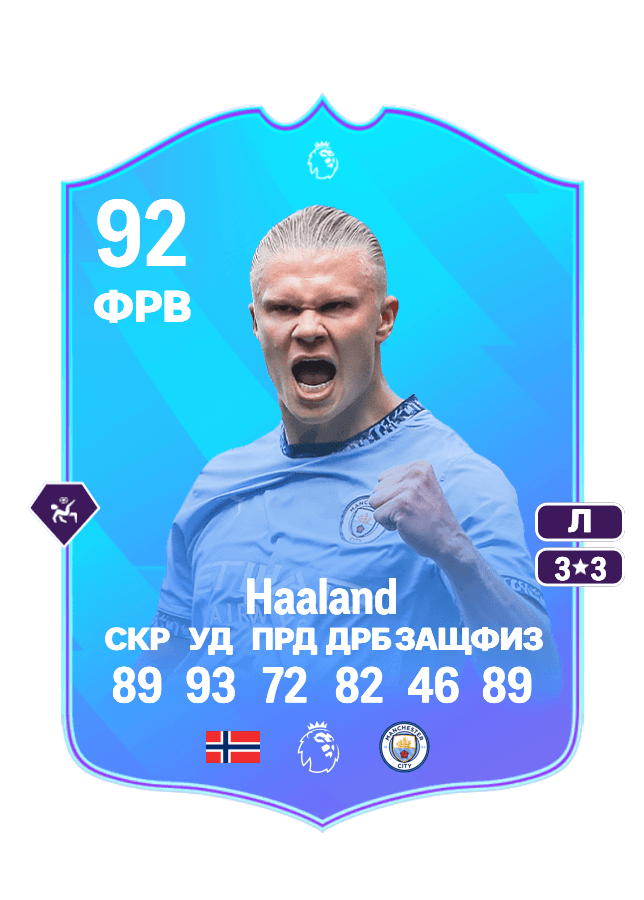 Erling Haaland card