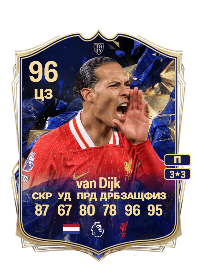 Virgil van Dijk card