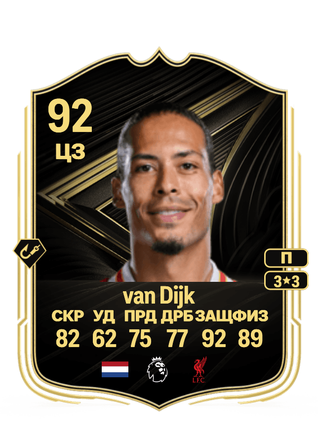 Virgil van Dijk card
