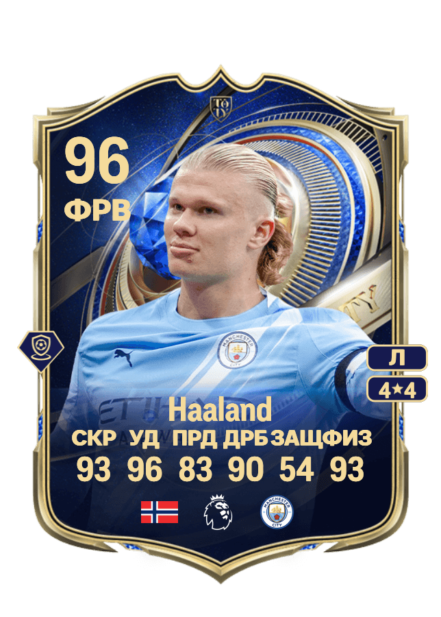 Erling Haaland card