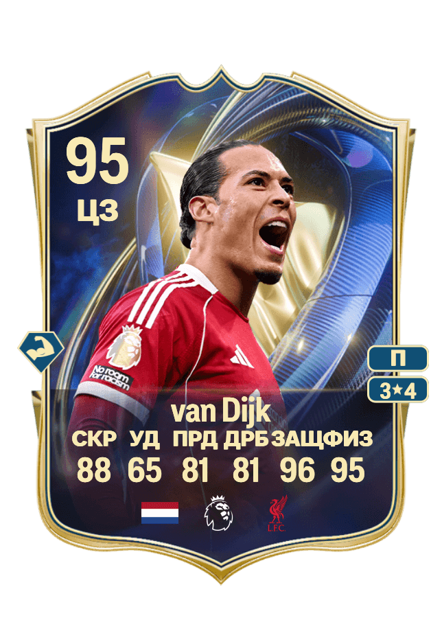 Virgil van Dijk card