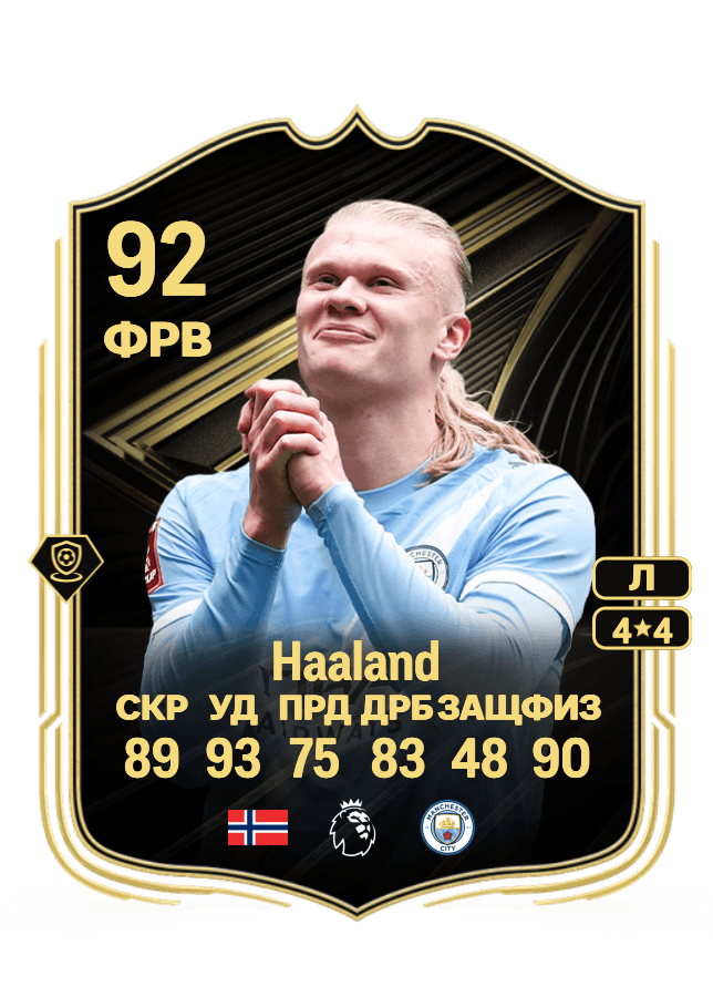 Erling Haaland card
