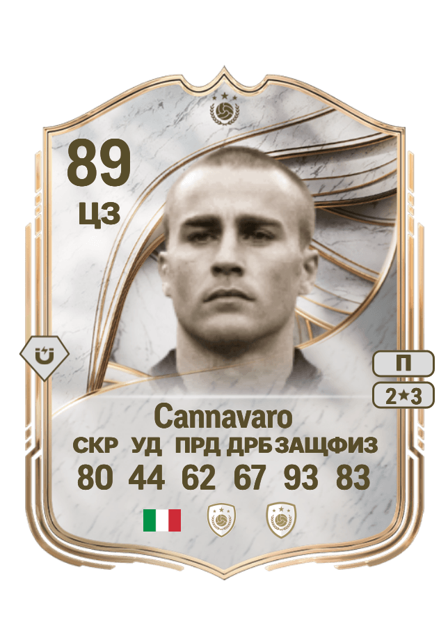 Fabio Cannavaro card