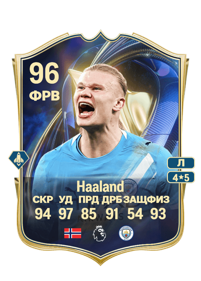 Erling Haaland card