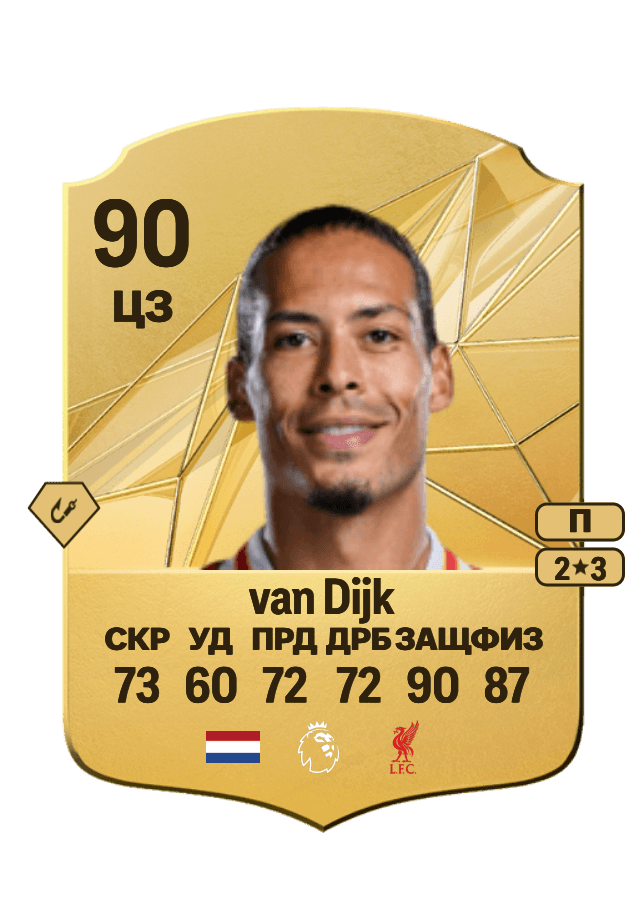 Virgil van Dijk card