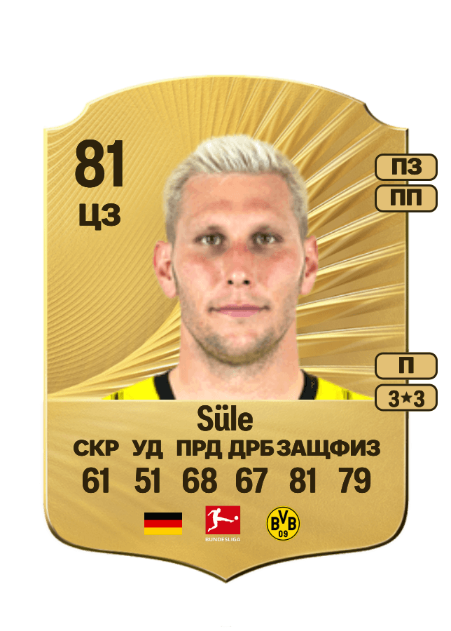 Niklas Süle card