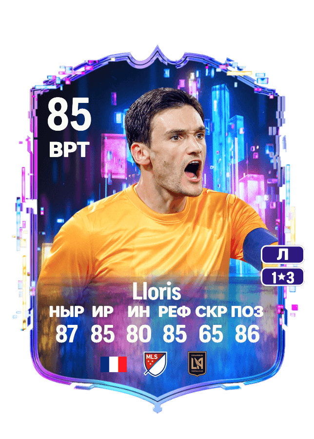 Hugo Lloris card