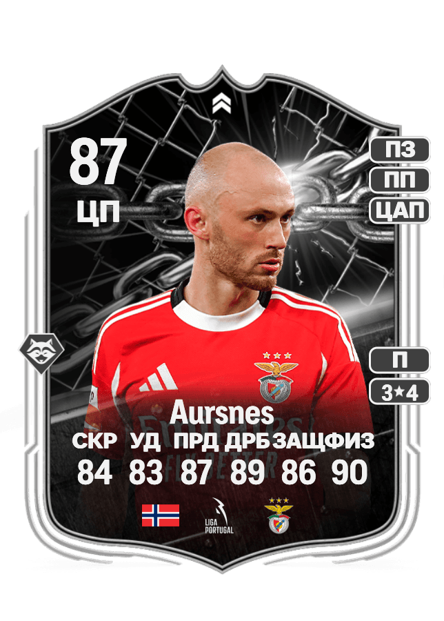 Fredrik Aursnes card