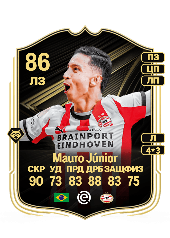 Mauro Júnior card