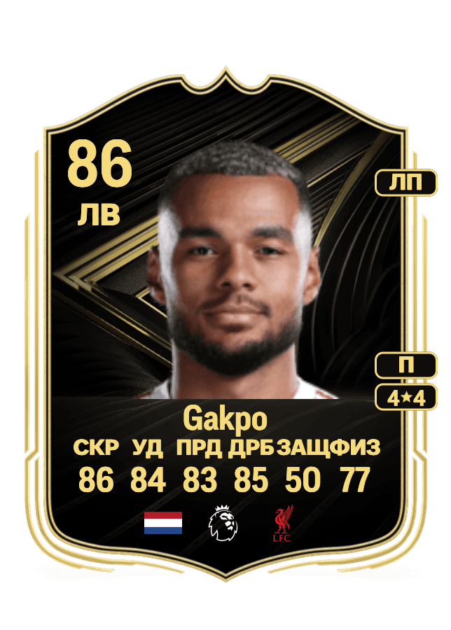 Cody Gakpo card