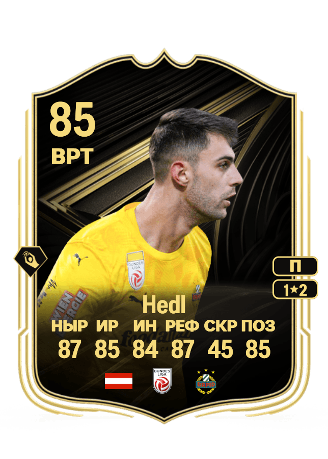 Niklas Hedl card