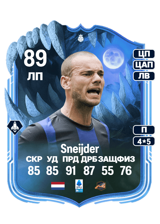 Wesley Sneijder card
