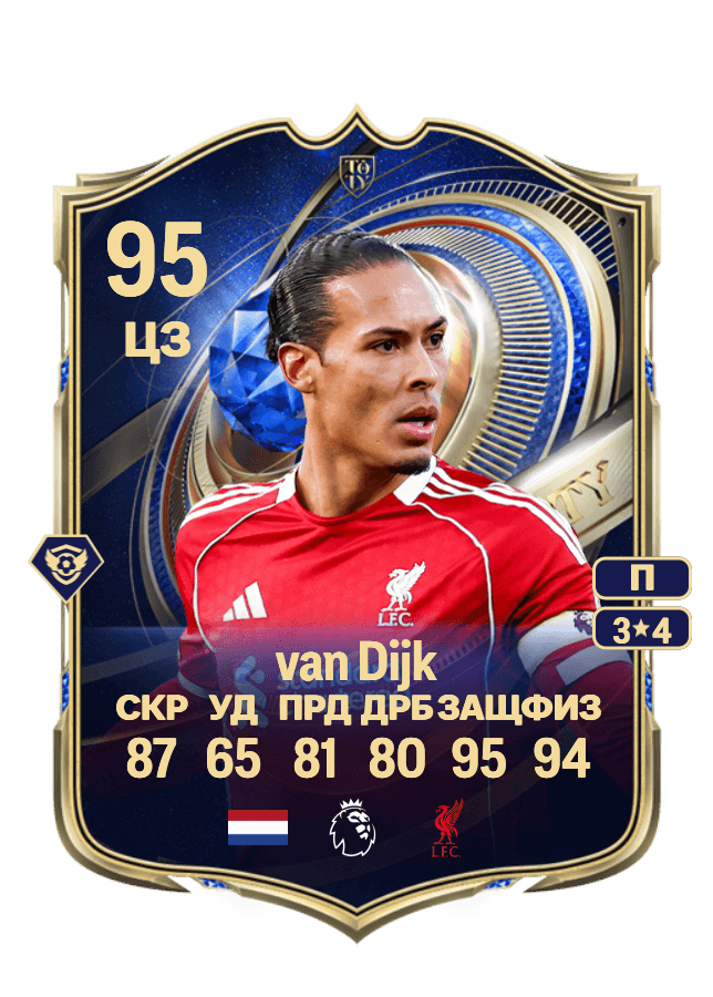 Virgil van Dijk card