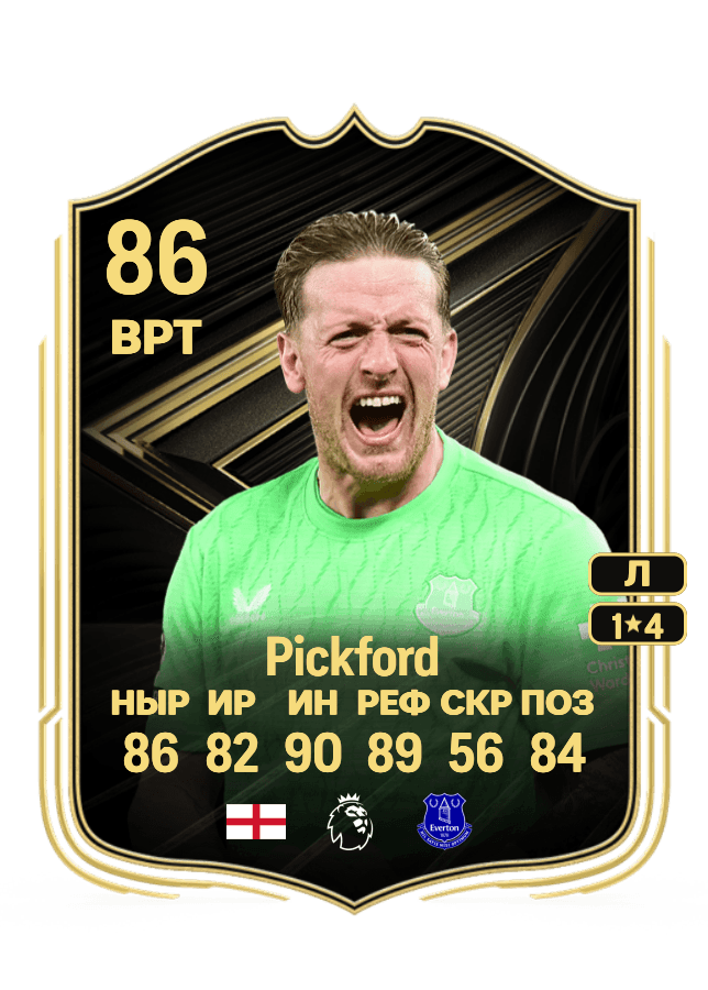 Jordan Pickford card