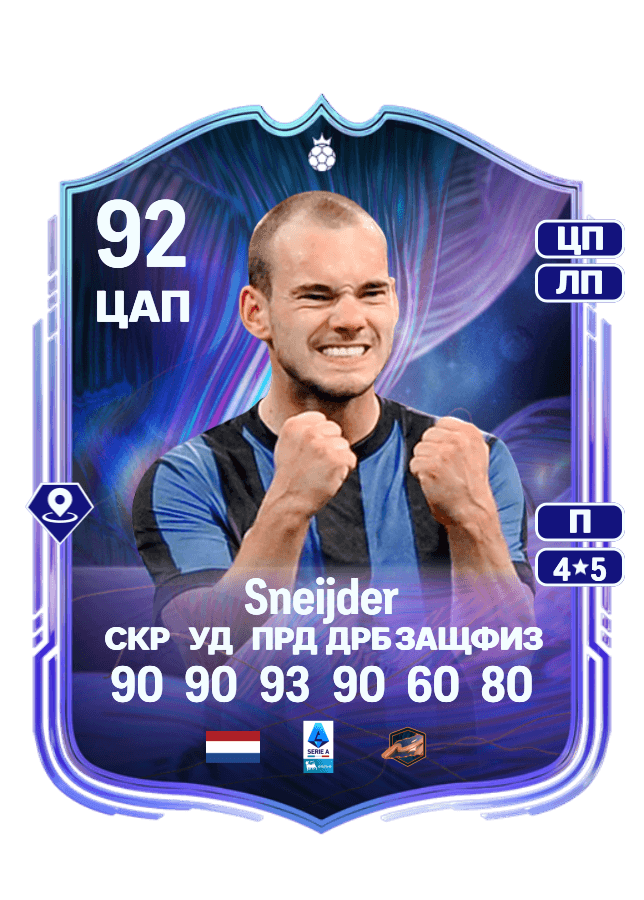 Wesley Sneijder card