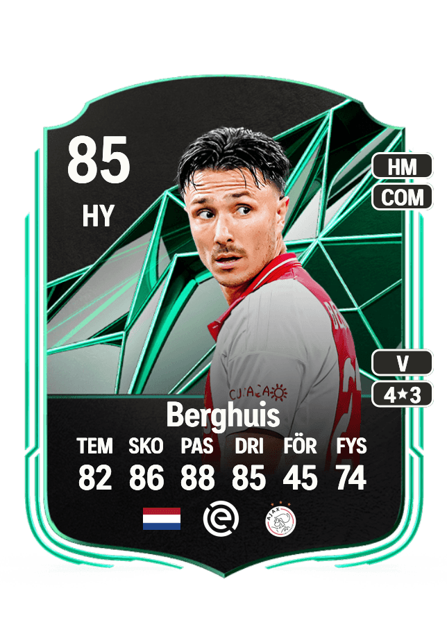 Steven Berghuis card