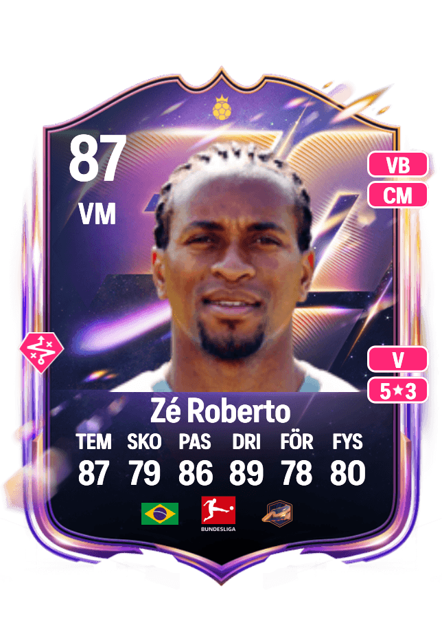Zé Roberto card