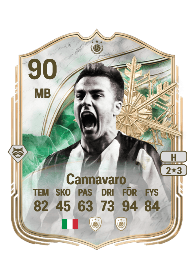 Fabio Cannavaro card