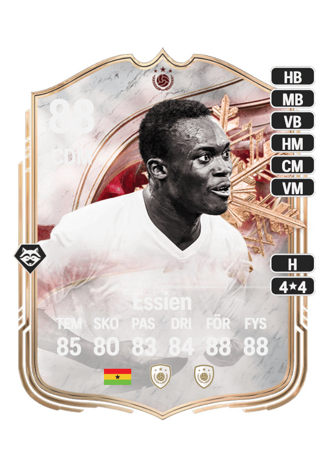 Michaël Essien card