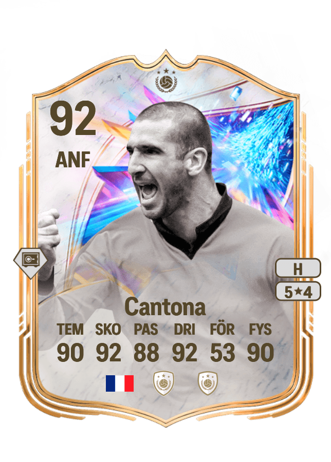 Eric Cantona card
