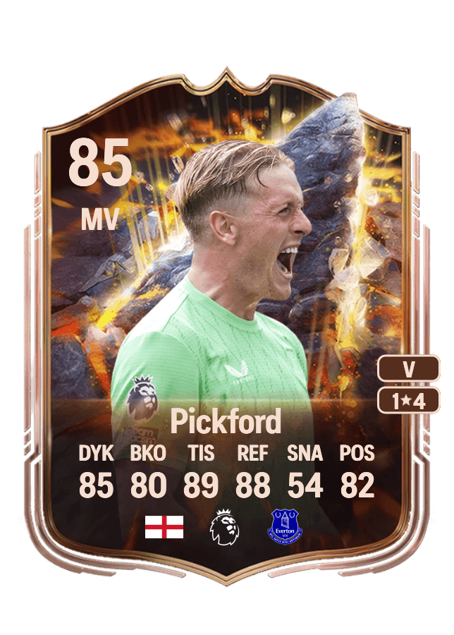 Jordan Pickford card