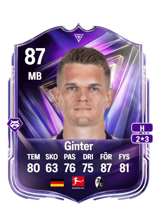 Matthias Ginter card
