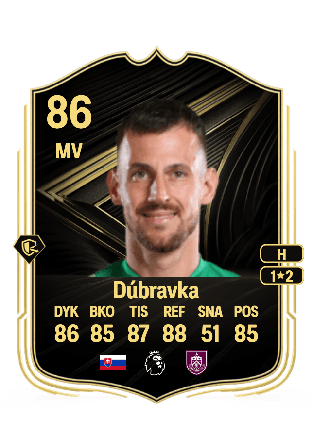 Martin Dúbravka card