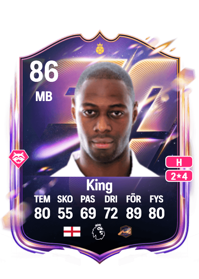 Ledley King card