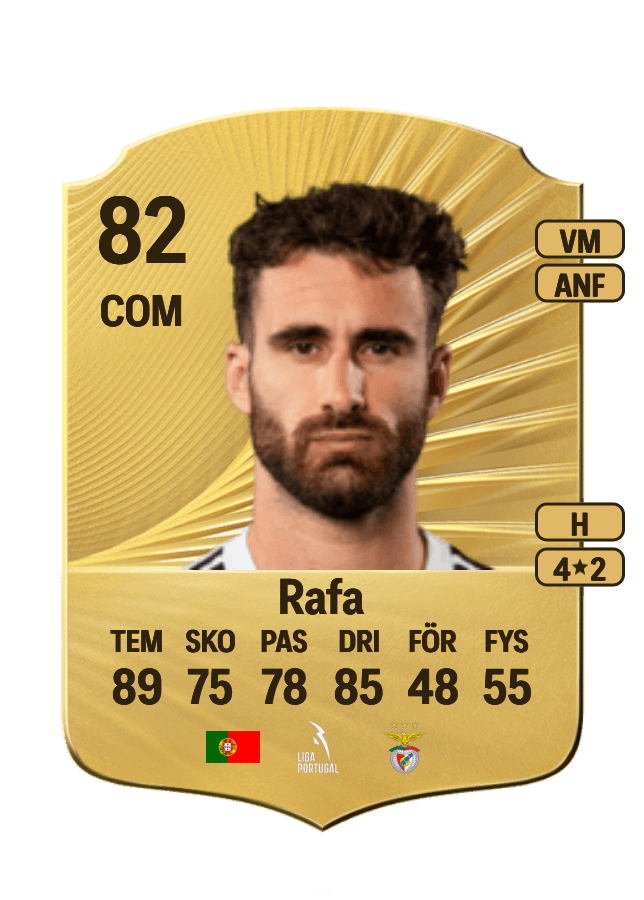 Rafa card