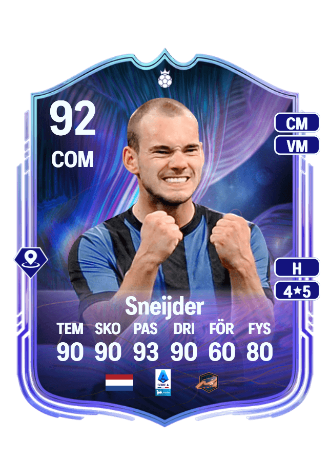 Wesley Sneijder card