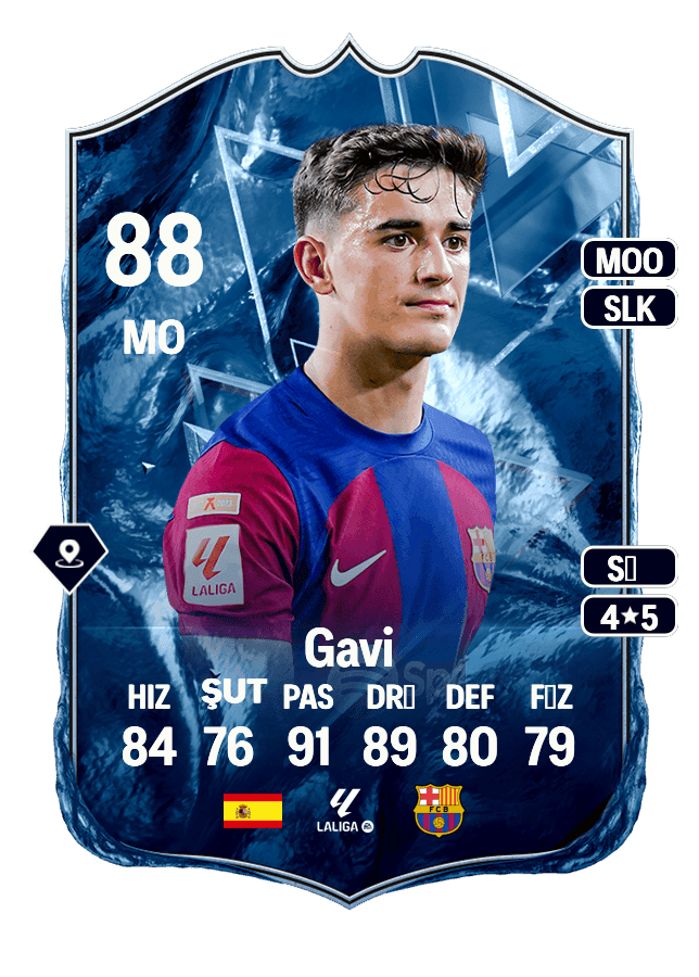 Gavi card