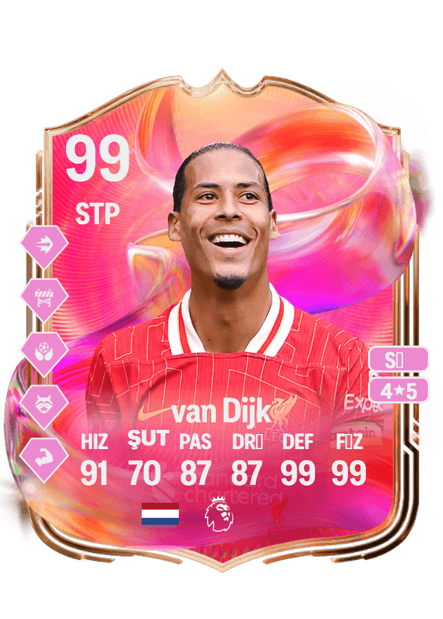 Virgil van Dijk card