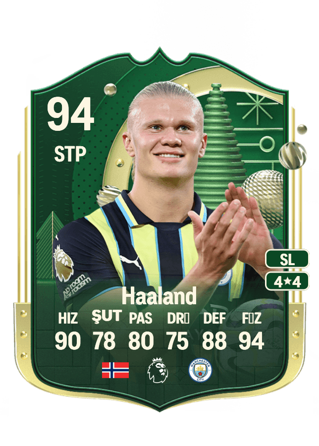 Erling Haaland card